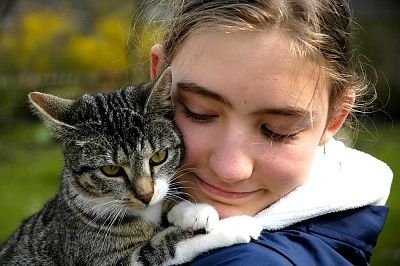 Allergie gegen Katzen