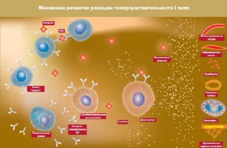 Eröffnetes Protein, das ein neues Ziel für Diabetes sein wird