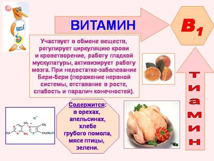 Die Eigenschaften von Vitamin B1