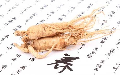 Ginseng während der Schwangerschaft